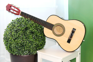 gitara